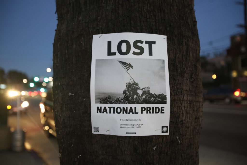 "LOST: NATIONAL PRIDE" - DANDELION CORP